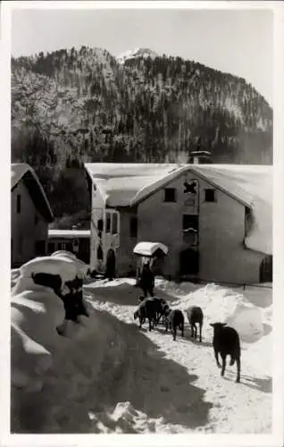 Ak Pontresina Kanton Graubünden Schweiz, Ortspartie, Schaafe, Schnee