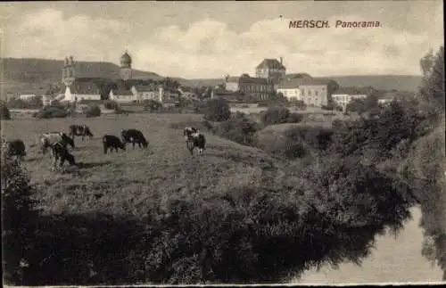 Ak Mersch Luxemburg, Panorama, Kuhweide