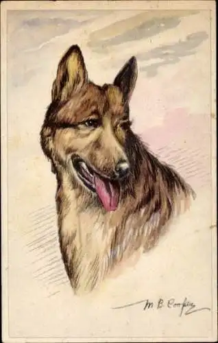 Künstler Ak Cooper, M. B., Hundeportrait, Schäferhund