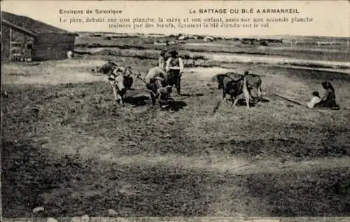 Ak Saloniki Thessaloniki Griechenland, Bauernfamilie bei der Weizenernte