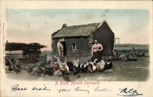 Ak Südafrika, Bauernhof, Hühner