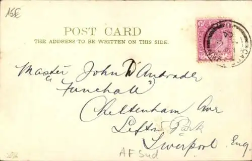 Ak Südafrika, Bauernhof, Hühner