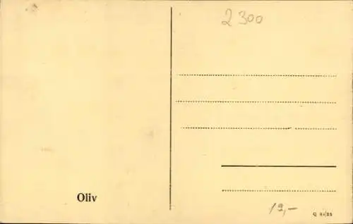 Ak Kiel in Schleswig Holstein, Hochbrücke zu Levensau