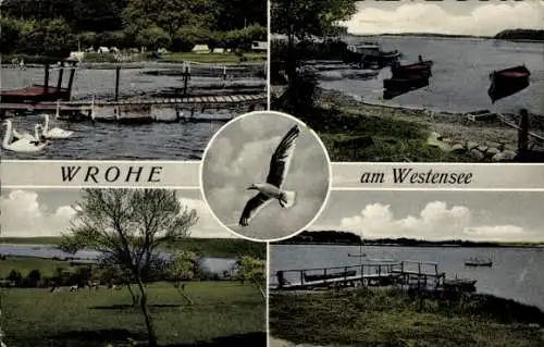 Ak Wrohe Westensee in Schleswig Holstein, Boote, See, Pier