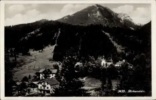 Ak Birkenstein Fischbachau in Oberbayern, Totalansicht, Bergpanorama