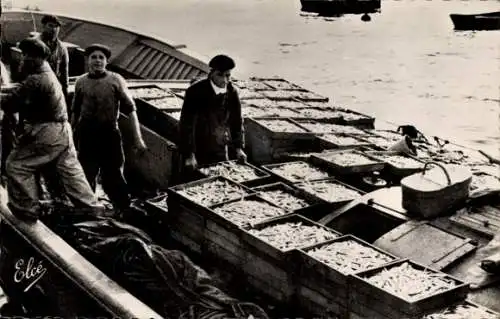 Ak Baskische Küste, Rückkehr der Fischerei, Anlandung von Sardinenkisten