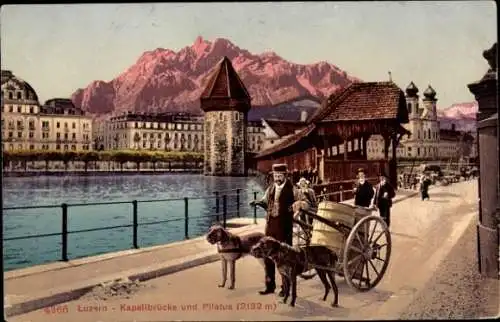 Ak Luzern Stadt Schweiz, Kapellbrücke und Pilatus, Hundekarren