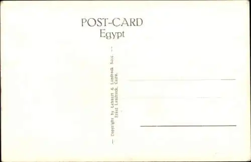 Ak Cairo Kairo Ägypten, Kamele in der Wüste