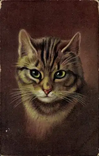 Ak Getigerte Katze, Katzenportrait, Reklame Hoffmanns Stärkefabriken Salzuflen