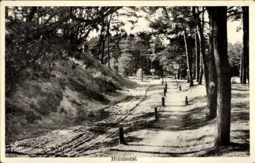 Ak Hulshorst Gelderland, Fietspad op de Veluwe