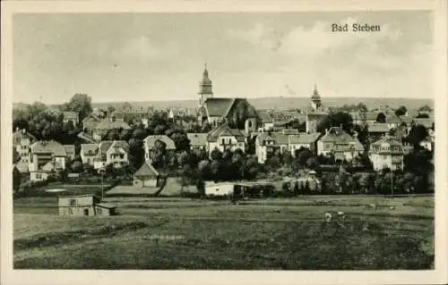 Ak Bad Steben, Blick zum Ort, Kirche, Felder