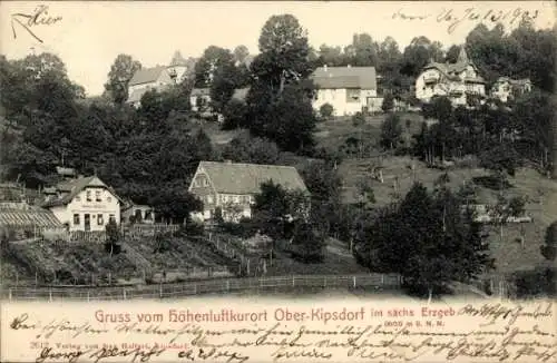 Ak Oberkipsdorf Altenberg im sächsischen Erzgebirge, Ortspartie, Gasthaus Gustav Holfert