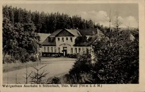 Ak Stützerbach Ilmenau Thüringer Wald, Waldgasthaus Auerhahn