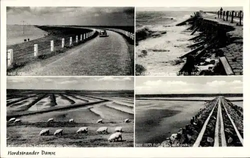 Ak Insel Nordstrand in Nordfriesland, Nordstrander Damm, Sturmflut 1936, Schafe, Fußgänger-Passage