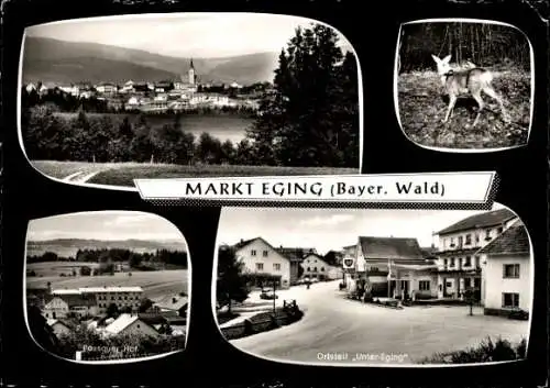 Ak Markt Eging im Bayerischen Wald, Passauer Hof, Unter-Eging, Tankstelle, Gesamtansicht, Reh