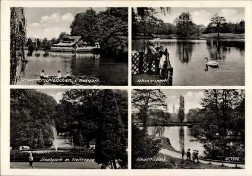 Ak Freiberg in Sachsen, Schwanenschlösschen im Stadtpark, Johannispark, Stadtpark mit Freitreppe