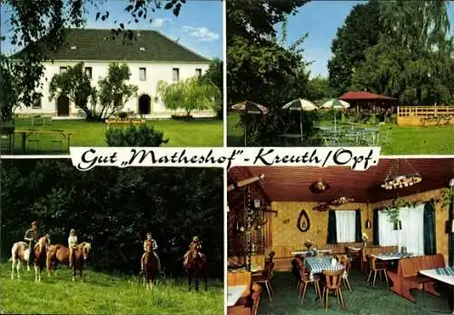 Ak Kreuth Rieden Oberpfalz, Gut Matheshof, Pferde, Speiseraum, Garten