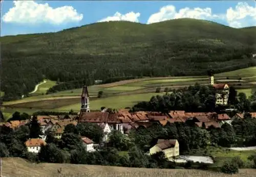 Ak Pleystein in der Oberpfalz Bayern, Gesamtansicht