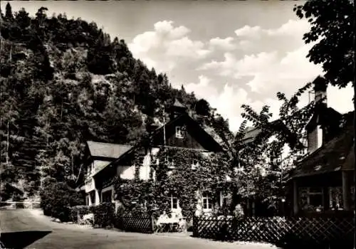 Ak Falkenstein Ludwigsstadt in Oberfranken, Hotel Brauerei Gaststätte Falkenstein