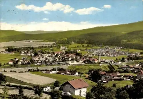 Ak Frauenau in Niederbayern, Gesamtansicht