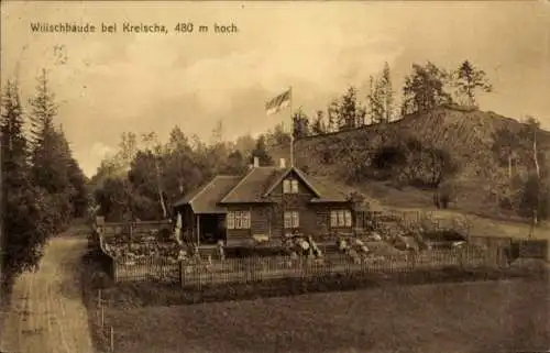 Ak Kreischa bei Dresden, Wilischbaude, Fahne