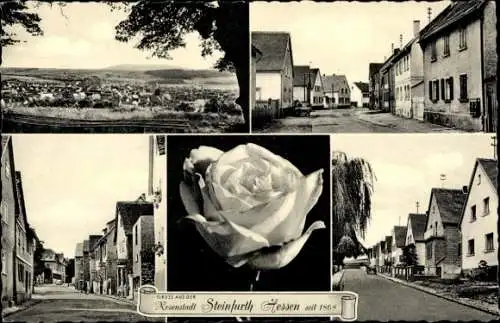 Ak Steinfurth Bad Nauheim in Hessen, Gesamtansicht, Straßenansichten, weiße Rose