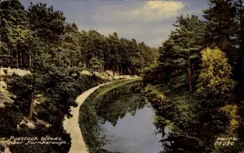 Ak Farnborough Hampshire England, Pyestock Woods