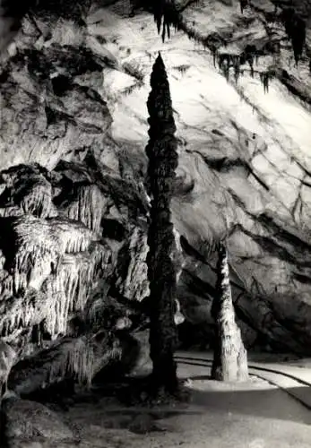 Ak Postojna Postumia Adelsberg Slowenien, Postojnska jama, Adelsberger Grotte, Höhlen