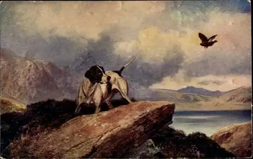 Ak Landschaft, Jagdhund beobachtet weggeflogene Ente