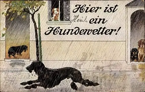 Künstler Ak Hier ist ein Hundewetter, Hunde im Regen, Dackel, Pudel