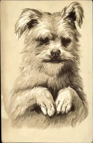 Ak Terrier macht Männchen, Hundeportrait