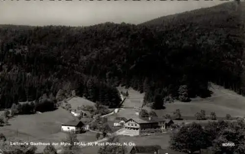 Ak Thal in Niederösterreich, Leitners Gasthaus zur Myra, Panorama