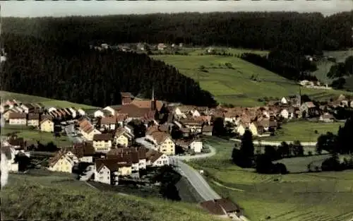 Ak Tennenbronn Schramberg im Schwarzwald, Gesamtansicht