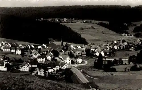 Ak Tennenbronn Schramberg im Schwarzwald, Gesamtansicht