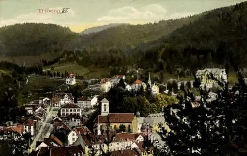 Ak Triberg im Schwarzwald, Teilansicht, Vogelschau