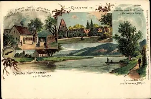 Litho Nimbschen Böhlen Grimma in Sachsen, Klosterruine, Luther Eiche, Fährhaus Höfgen, Gartenlaube