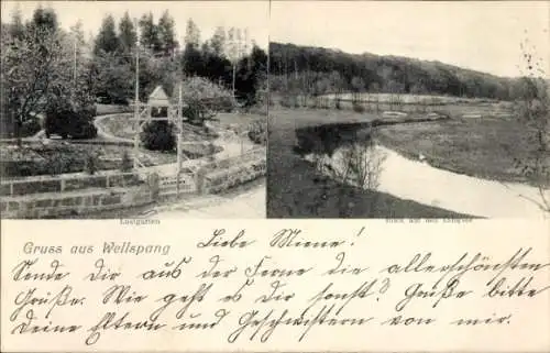 Ak Wellspang Süderfahrenstedt, Lustgarten, Blick auf den Langsee