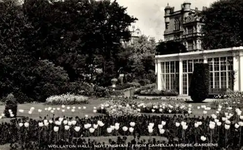 Ak Nottingham East Midlands England, Wollaton Hall von Camellia House Gardens