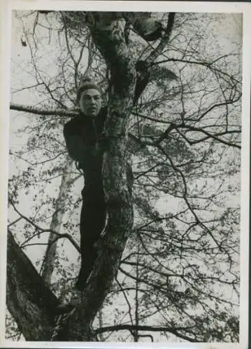 Foto Berlin Wilmersdorf Grunewald, Boxer Schoepgens, Morgentraining