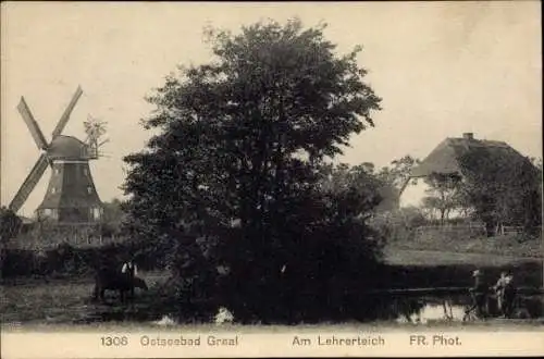 Ak Ostseebad Graal Müritz, Lehrerteich, Windmühle