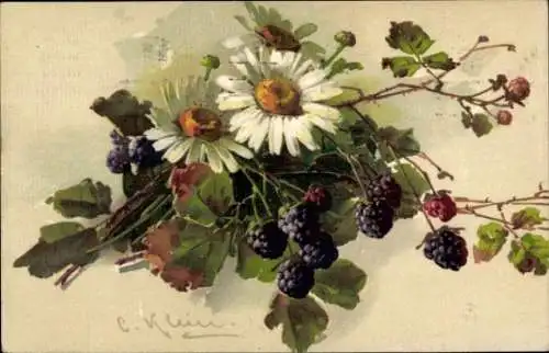 Künstler Ak Klein, Catharina, Margeriten, Beeren