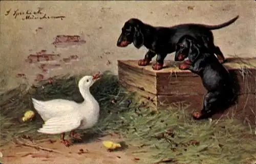 Künstler Ak Sperlich, S., Zwei Dackel flüchten vor einer Ente, Küken