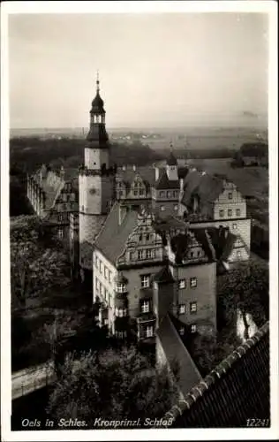 Ak Oleśnica Oels Schlesien, Kronprinzl. Schloss