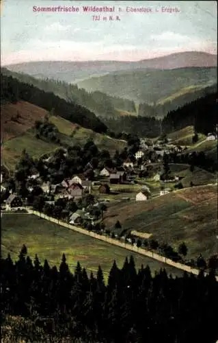 Ak Wildenthal Eibenstock Erzgebirge, Gesamtansicht