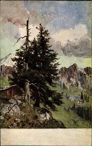 Künstler Ak Bayerlein, Fritz, Gebirgslandschaft mit Holzhütte und Nadelbaum