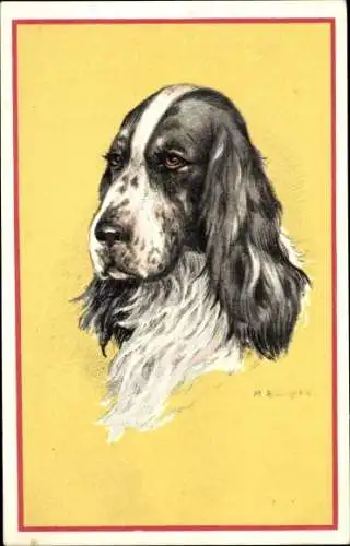 Künstler Ak Cooper, M. B., Cocker Spaniel, Hundeportrait