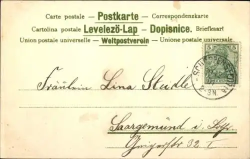 Litho Glückwunsch Neujahr 1902, Schwalben, Vergissmeinnicht