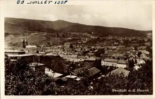 Ak Neustadt an der Haardt Neustadt an der Weinstraße, Totalansicht