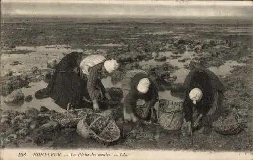 Ak Honfleur-Calvados, La Peche des Muscheln