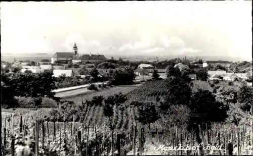 Ak Mönchhof Burgenland, Gesamtansicht